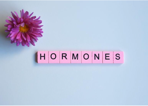 Why Estrogen Tablets, Matcha Tea, and Liver Detox Supplements Are the Key to Hormonal Balance?
