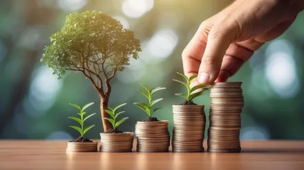 What are Some Ideal Fund Types in Volatile Markets?