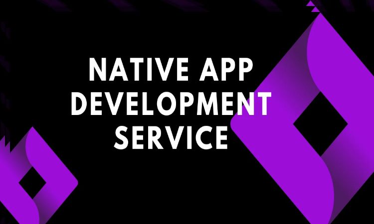Why Native Application Development Services Are Crucial for User-Centric Mobile Experiences