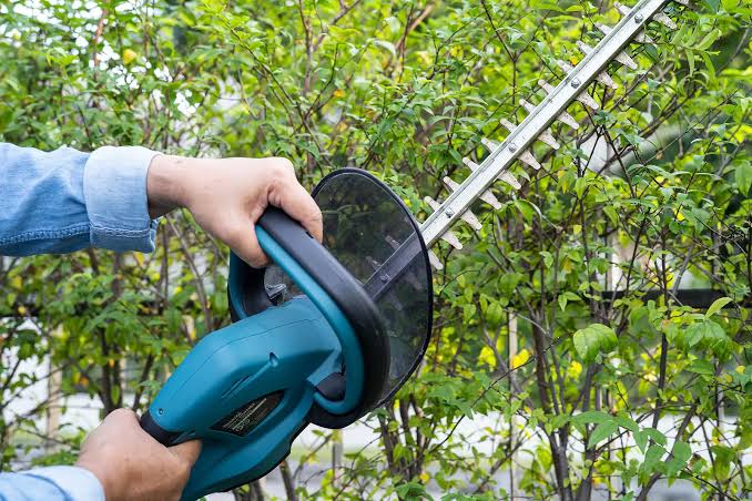 How Blade Spacing on an Electric Hedge Trimmer Affects Cutting Young Shoots and Mature Stems
