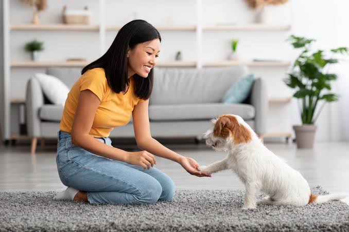 The Complete Guide to Keeping Your Dog Happy and Healthy